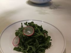 爽口非洲冰草-宝燕壹号(徐汇店)