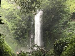 -莫里热带雨林景区