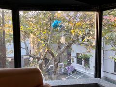 -LA MATCHA抹茶吧(进贤路店)