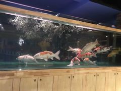 -济州岛汤泉(广宜店)