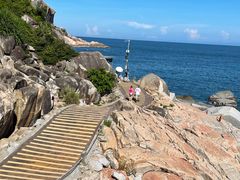 -广东惠东海龟国家级自然保护区