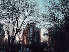 -庄怡公园
