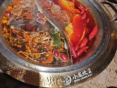 -小龙坎火锅(东汇城店)