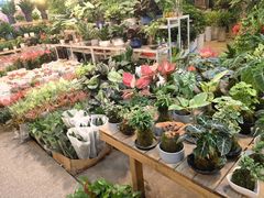 -双季花艺园艺市场(浦东店)