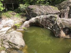 -炎陵县神农谷国家森林公园