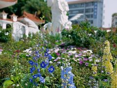 -深圳仙湖植物园