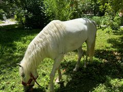 -哈密回王府景区