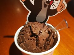 Gelato意式手工冰淇淋巧克力味-布拉格餐厅· 中欧捷克菜(全国首店)