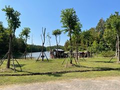 -上海海湾国家森林公园