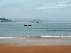 -魚當家