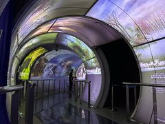 -房山世界地质公园博物馆