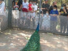 -长白岛森林公园