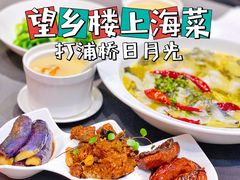 -望乡楼上海菜(日月光店)