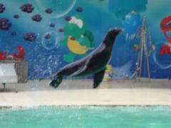 -西安秦岭野生动物园