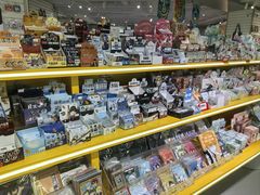 -凯德MALL(望京店)