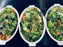 -油梨树 AVOCADO TREE(亮马桥店)