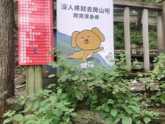 -帽儿山风景区