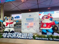 -哈尔滨太平国际机场-T2航站楼