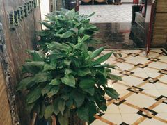 -雲际仙境足浴·影院式·养生·SPA(火车站店)