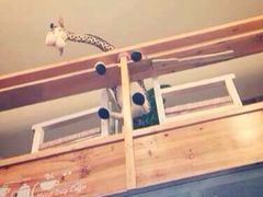 -长颈鹿咖啡(大学路店)