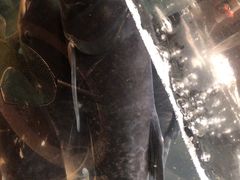 -上名堂·鱼头好吃(体育场路店)