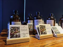 -野鸽子咖啡(航空路店)