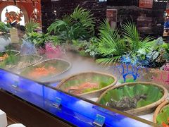 -鼎香缘海鲜自助火锅烤肉(锦辉购物广场店)