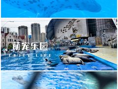 -海合安天津极地海洋公园