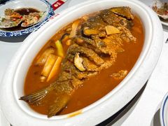 -阿五黄河大鲤鱼(纬三路店)