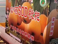 -菜园坝水果市场
