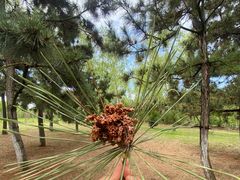 -鉴湖国家城市湿地公园