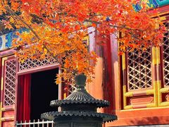 -香山公园