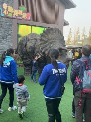 -恐龙探索乐园(磁器口店)