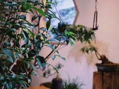 -成川茶店·潮汕工夫浓茶(万象店)