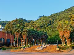 -重庆海昌加勒比海水世界