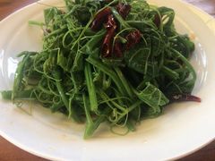 -云里小坐·小院里·团建·宴请·下午茶(三圣乡店)