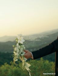-大象映画旗舰店