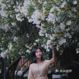 魔都攻略｜藏在大学校园的白色小众花海，超清新超日系！