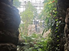 -北京植物园-展览温室