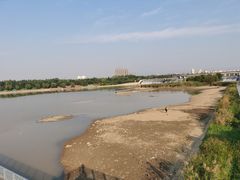 -灞河西岸滨河公园