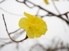 -观澜湖生态运动公社