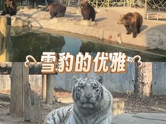 -常州淹城野生动物世界