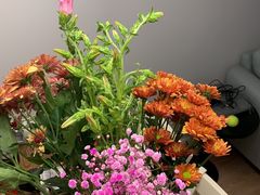 -双季花艺园艺市场(浦东店)