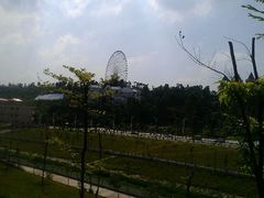 -凤岭儿童公园