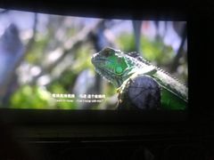 -天幕新彩云国际影城(激光巨幕店)