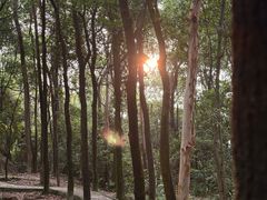 -火炉山森林公园