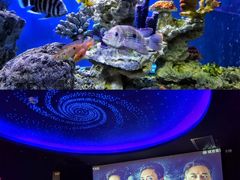 -避尘 Bsense·SPA(新会展总店)