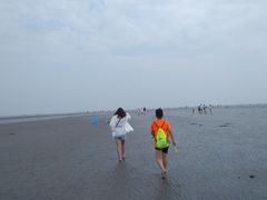 -南汇嘴观海公园