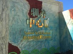 -广东惠东海龟国家级自然保护区