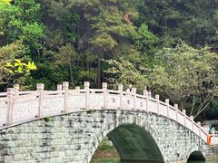 -铁山坪森林公园